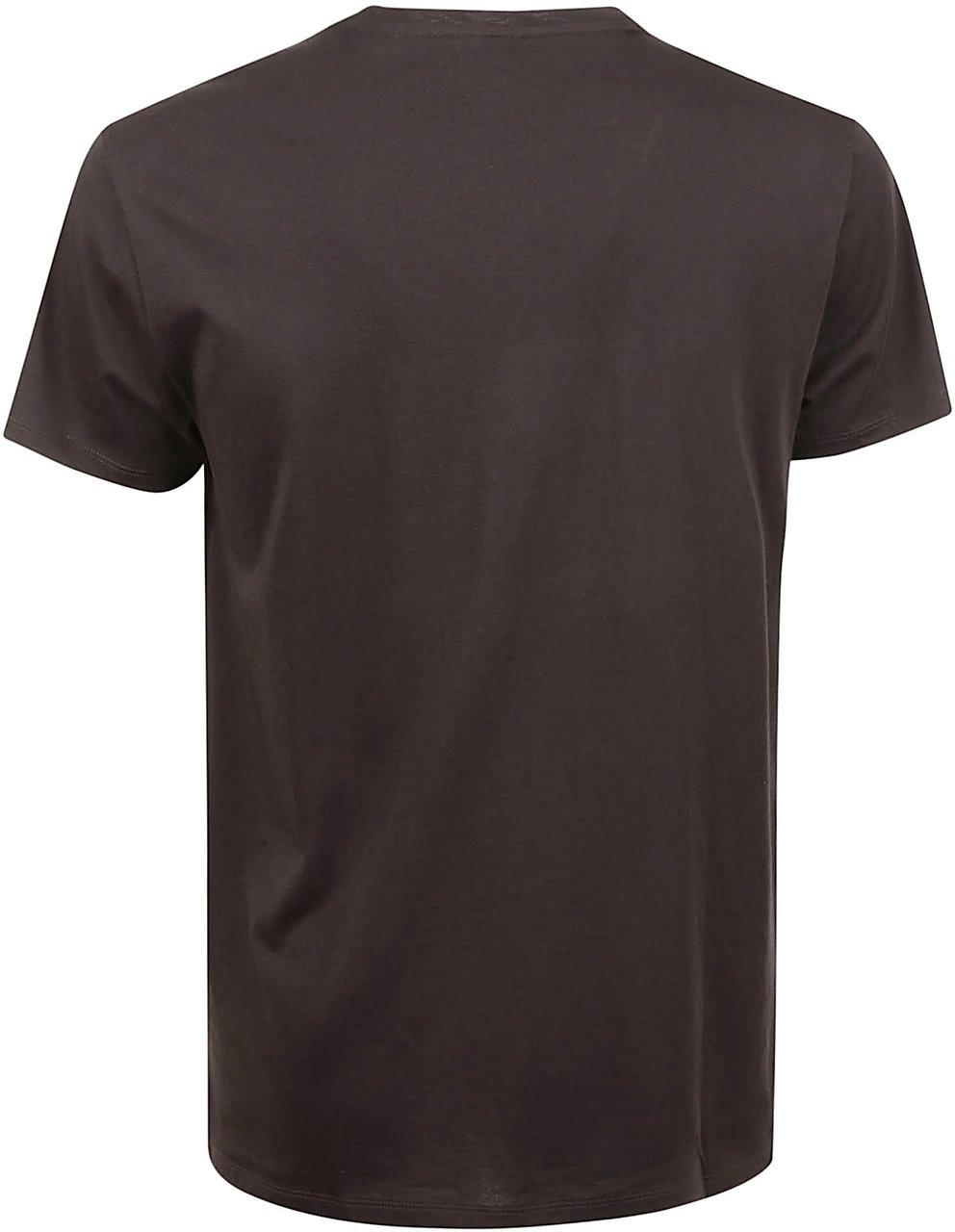 Lacoste T-Shirts And Polos Marrone Bruin