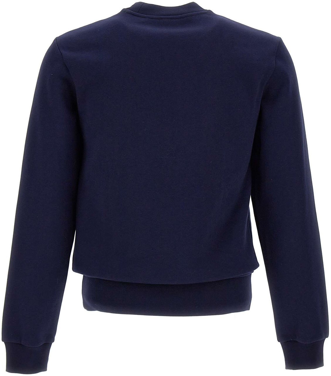 Lacoste Sweaters Blue Blauw