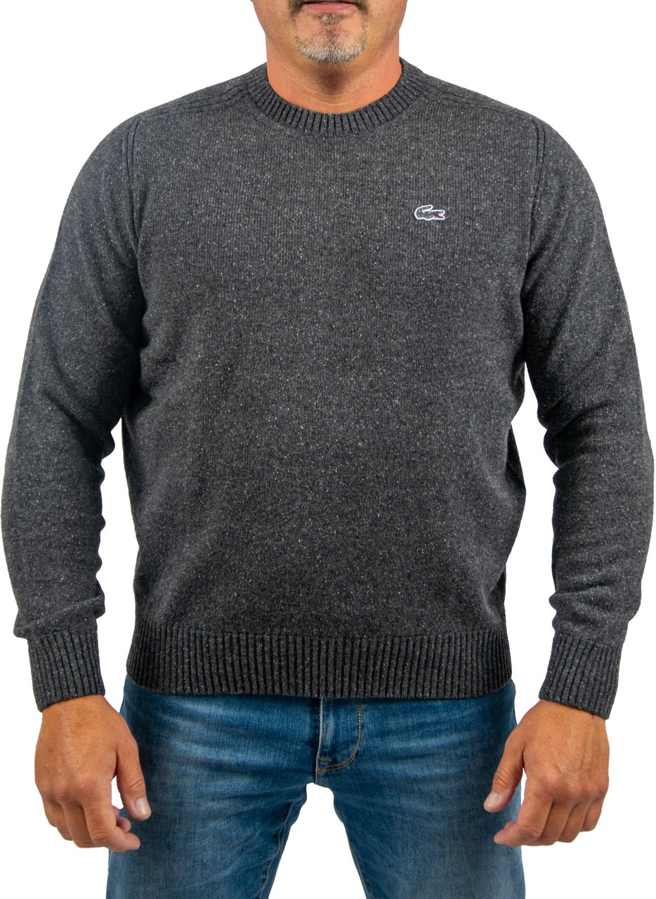 Lacoste Lacoste Sweater-Wol Exclusive Grijs