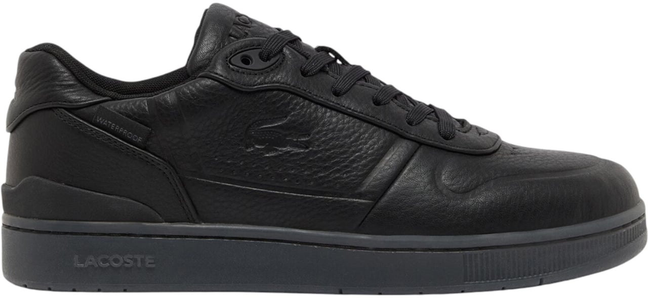 Lacoste Heren Sneakers Zwart