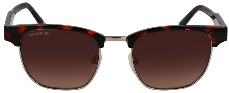 Lacoste Brown Injected Sunglasses Bruin