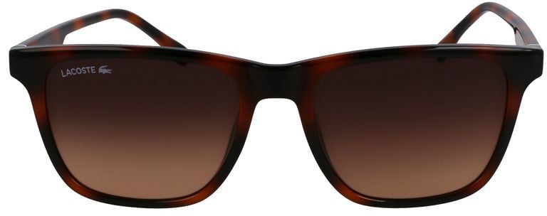 Lacoste Brown Injected Sunglasses Bruin