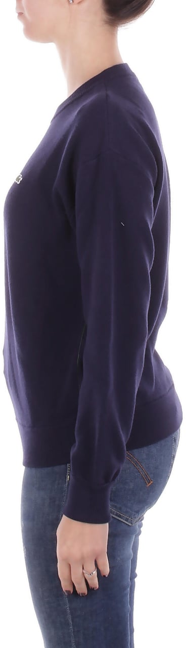 Lacoste Sweaters Blue Blauw