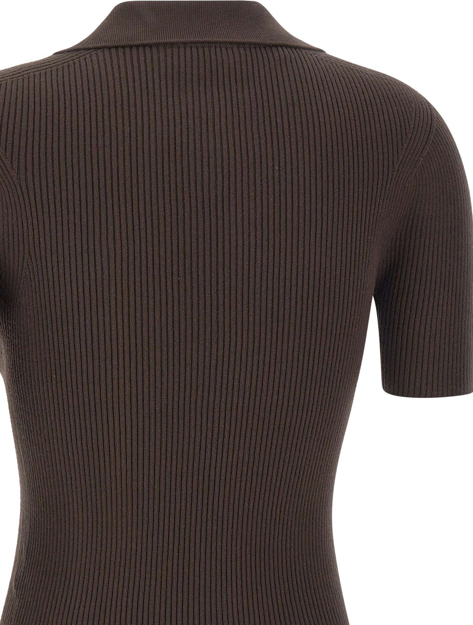 Lacoste T-Shirts And Polos Brown Bruin