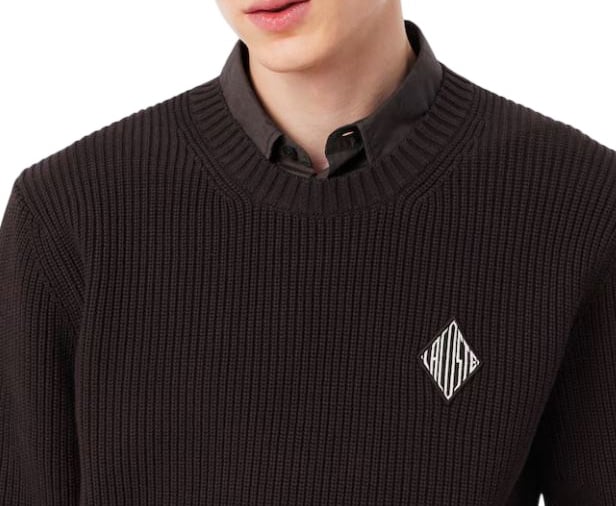 Lacoste Sweater Bruin