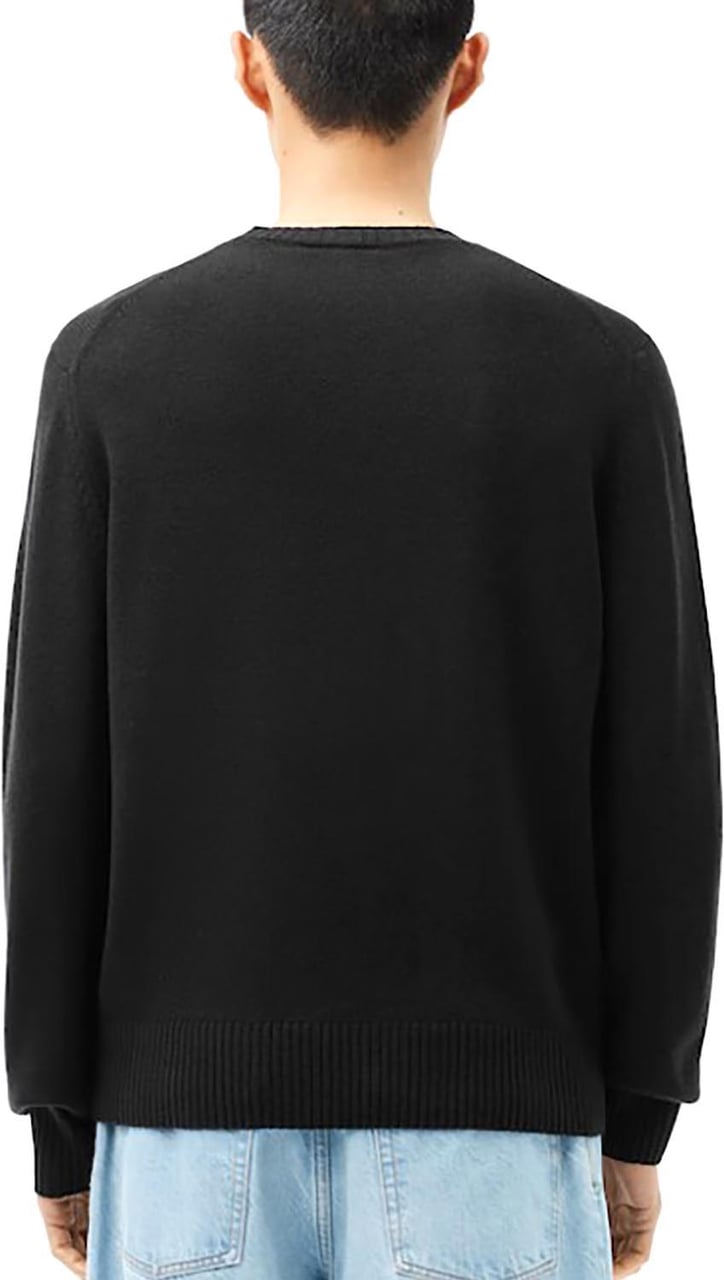 Lacoste Sweaters Divers Divers