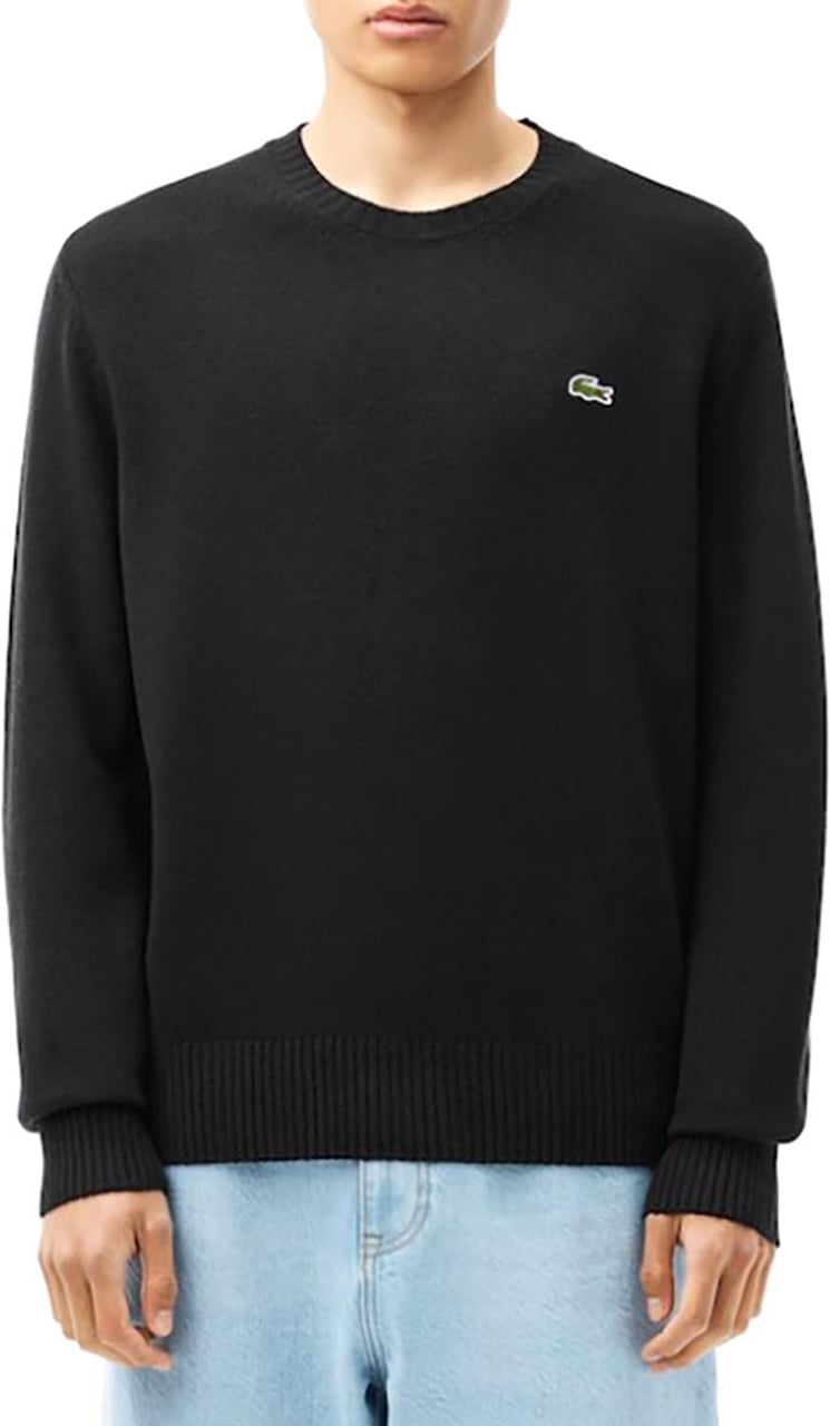 Lacoste Sweaters Divers Divers