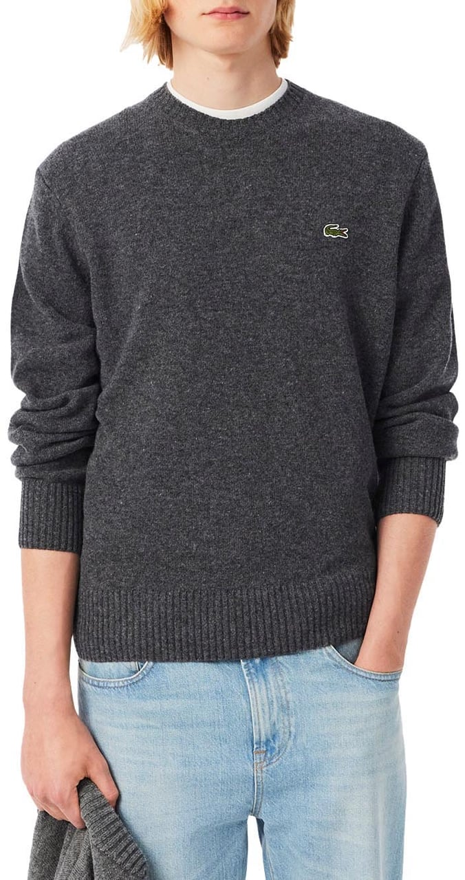 Lacoste Sweaters Grey Grijs