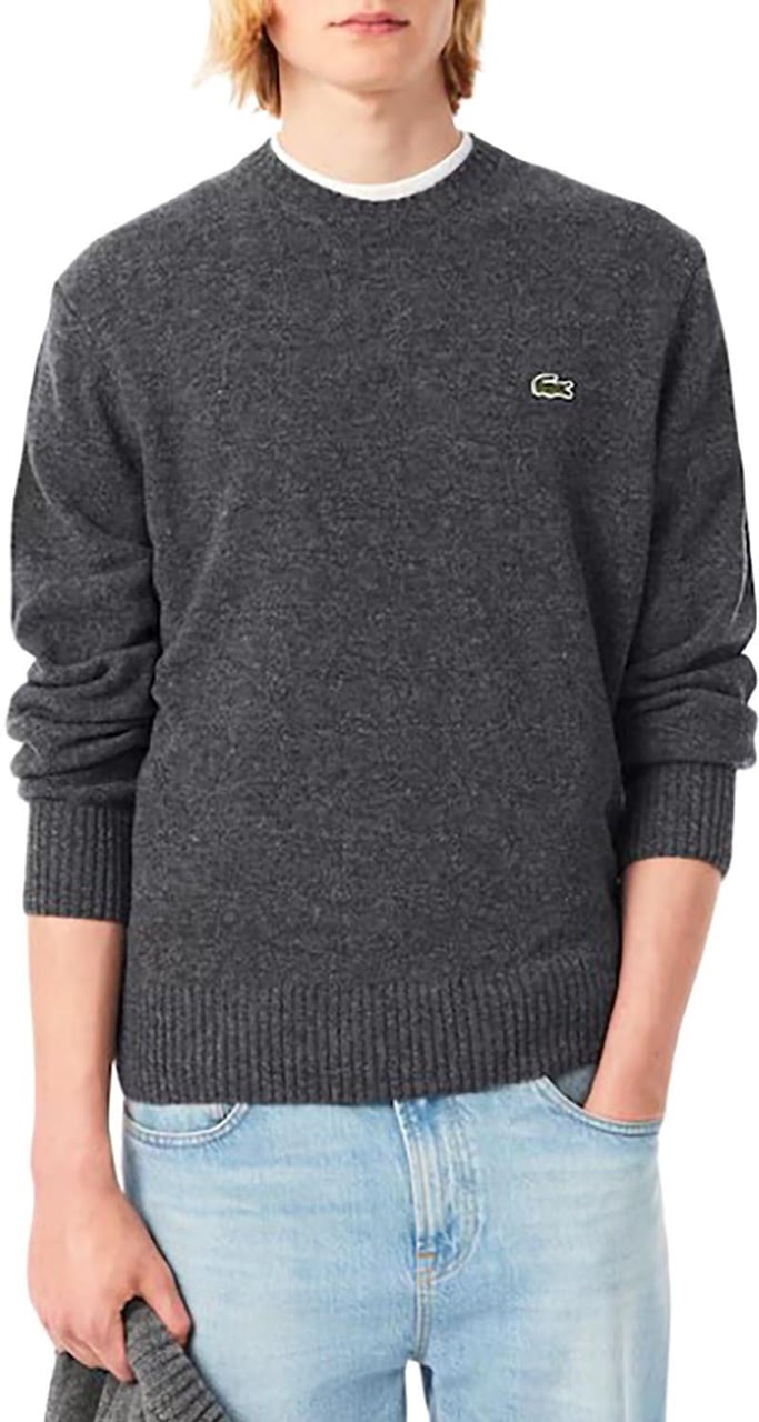 Lacoste Sweaters Divers Divers