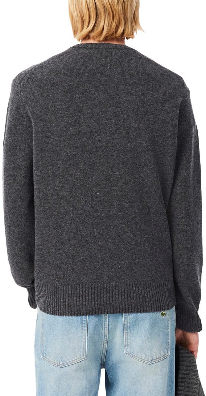 Lacoste Sweaters Grey Grijs