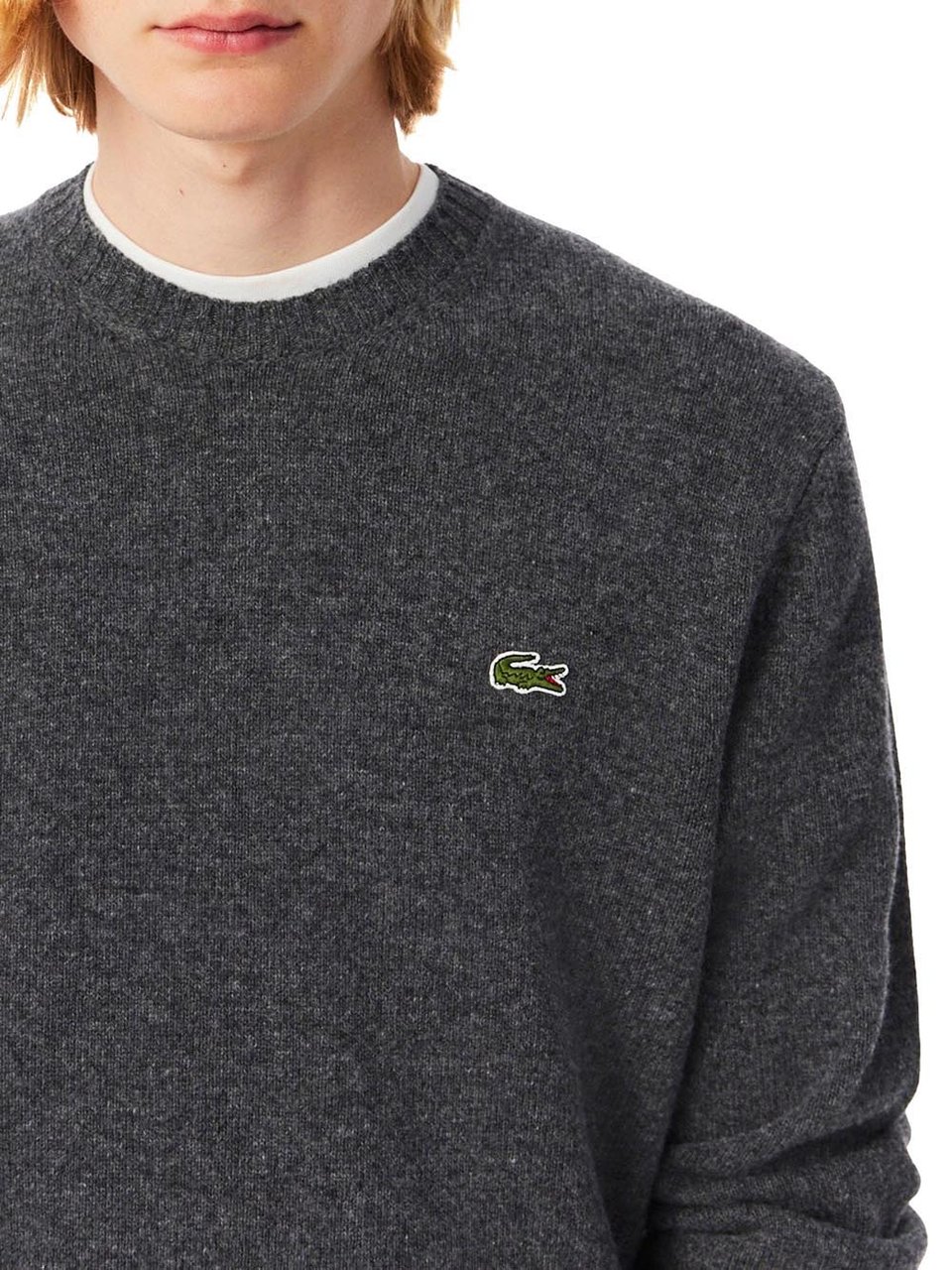 Lacoste Sweaters Grey Grijs