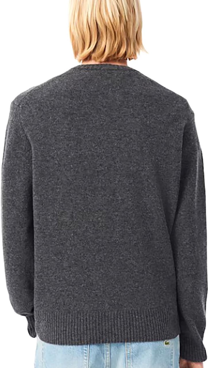 Lacoste Sweaters Divers Divers
