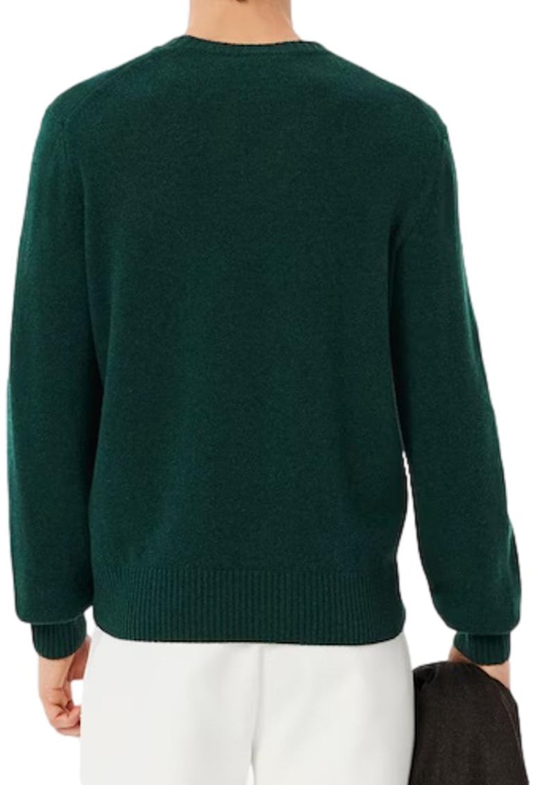 Lacoste Sweaters Verde Scuro Groen