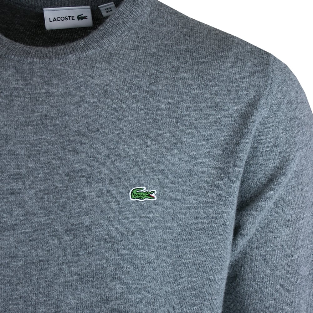 Lacoste Lacoste Sweaters Grey Grijs