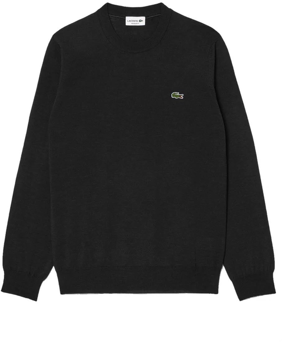 Lacoste Sweaters Divers Divers