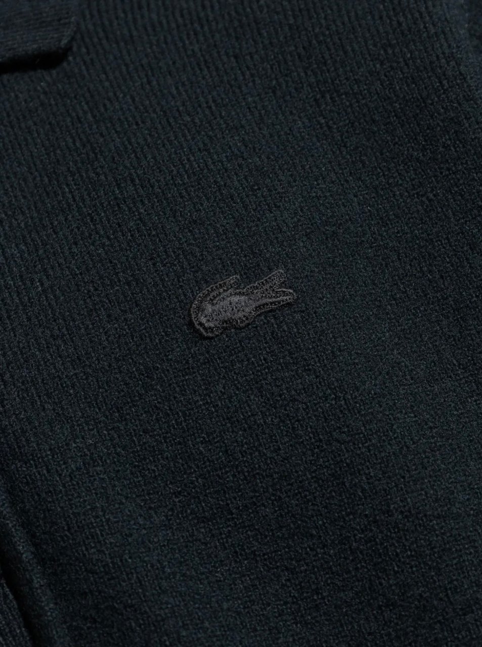Lacoste Fashion Show Polo Sweater Varech Fonce Groen