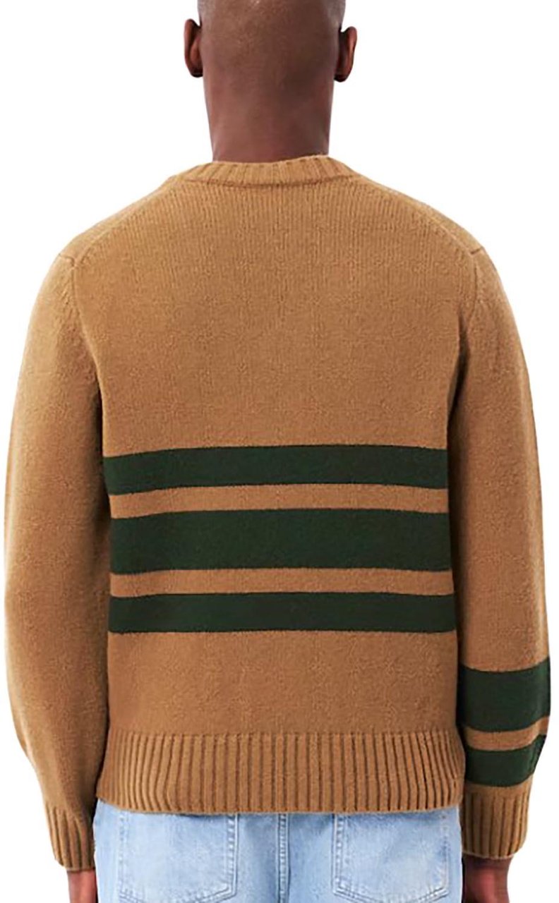 Lacoste Sweaters Divers Divers