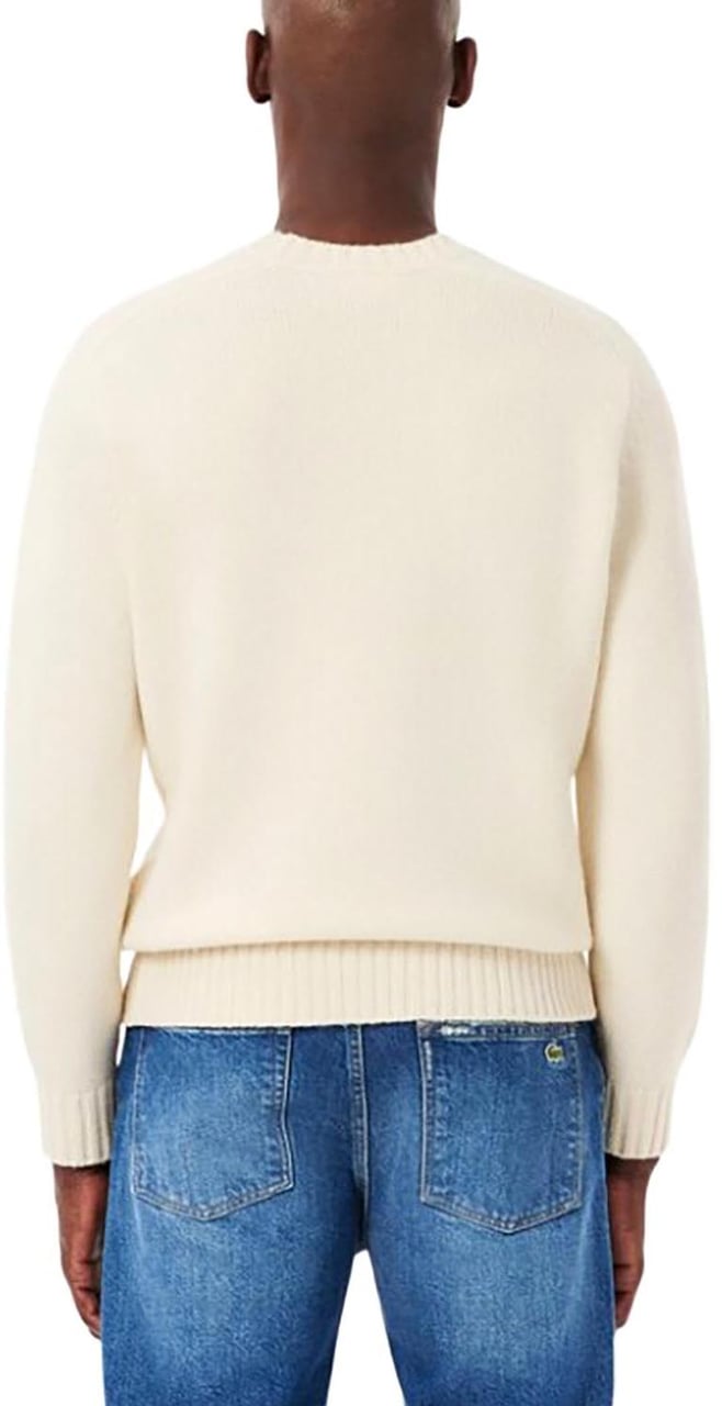 Lacoste Sweaters Divers Divers