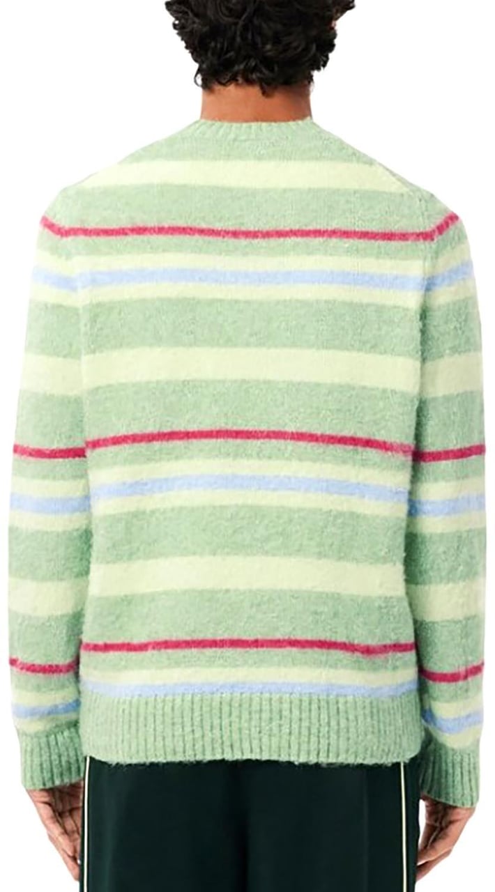 Lacoste Sweaters Divers Divers
