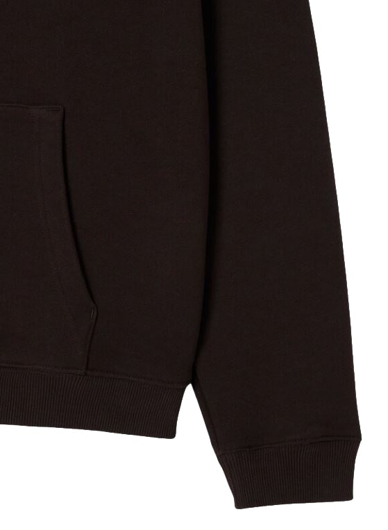 Lacoste Switshirt Bruin