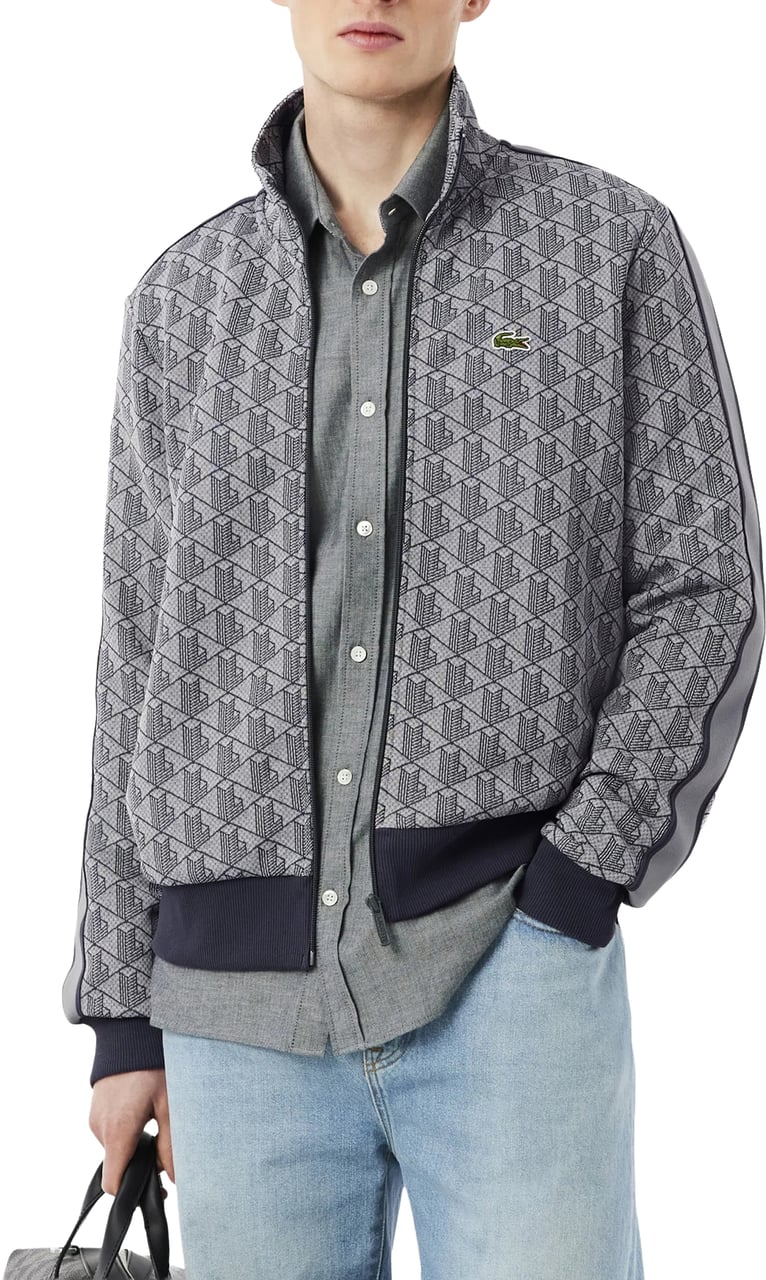 Lacoste Sweaters Grigio Grijs