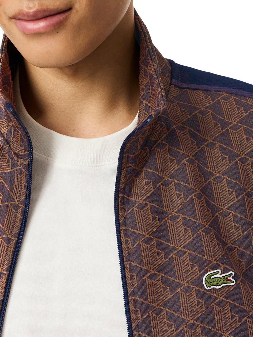Lacoste Sweaters Divers Divers