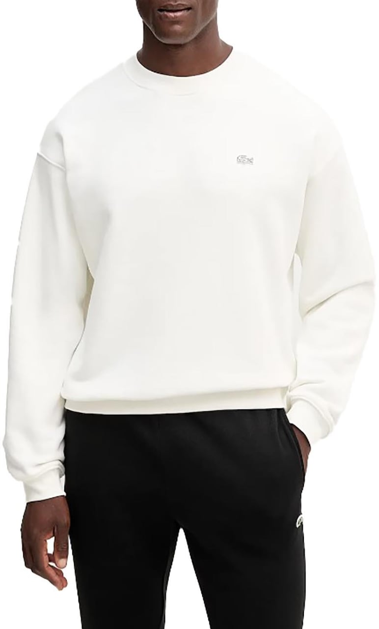 Lacoste Sweaters Divers Divers