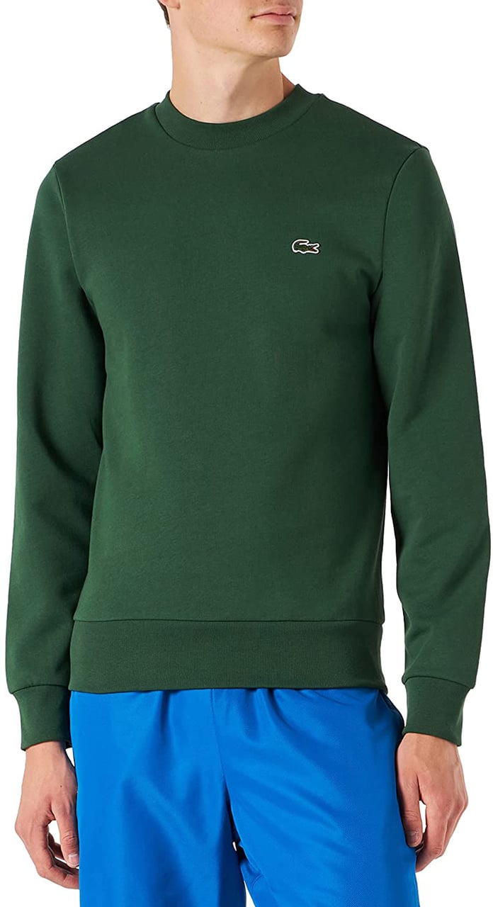 Lacoste Sweaters Green Groen
