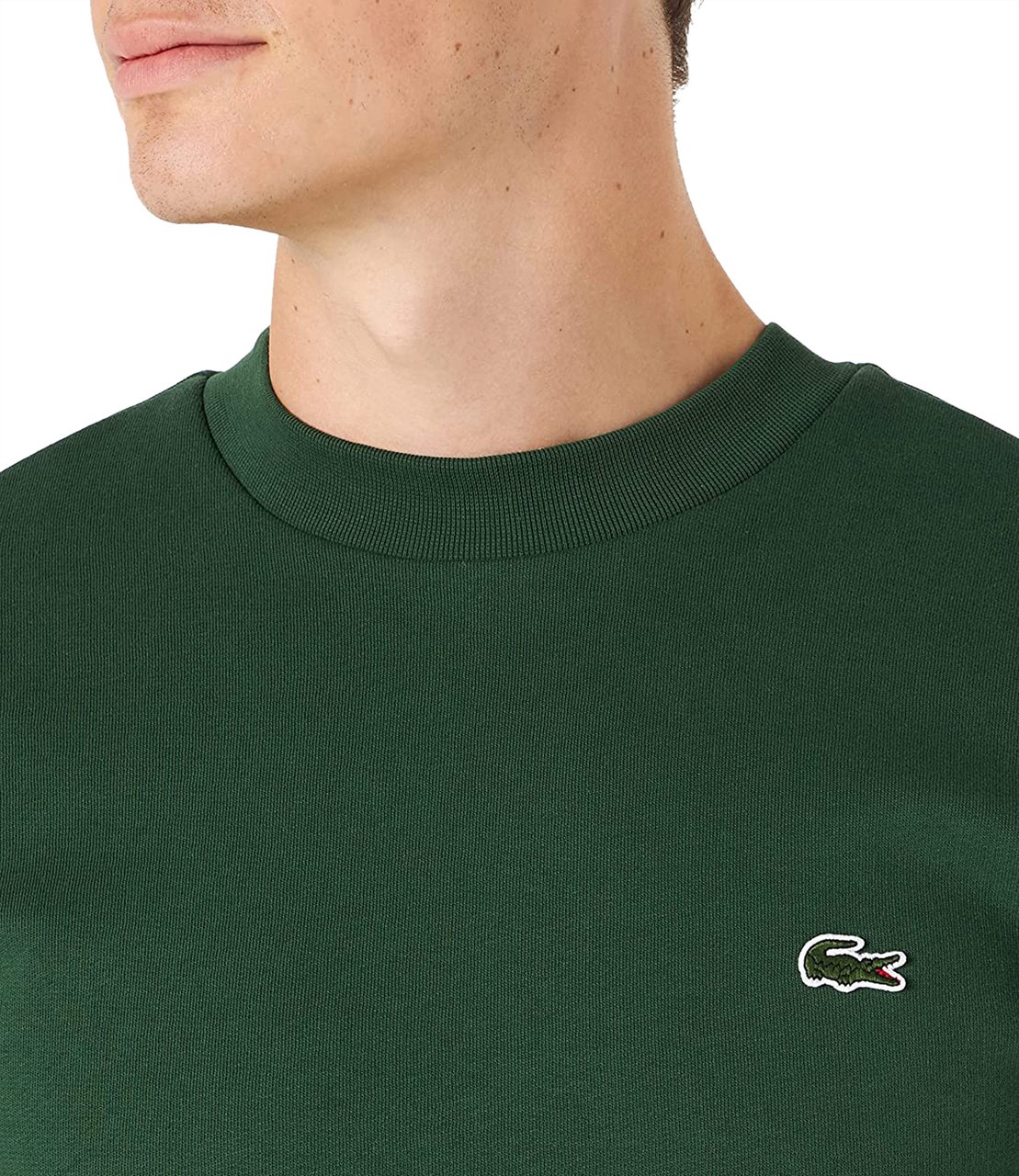 Lacoste Sweaters Green Groen