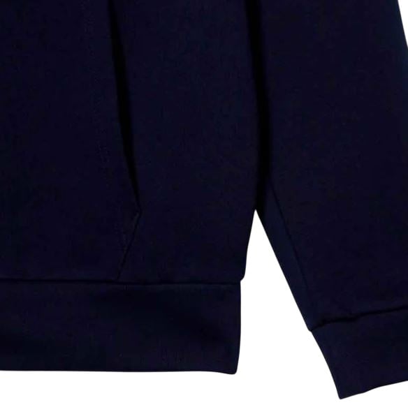 Lacoste Switshirt Blauw