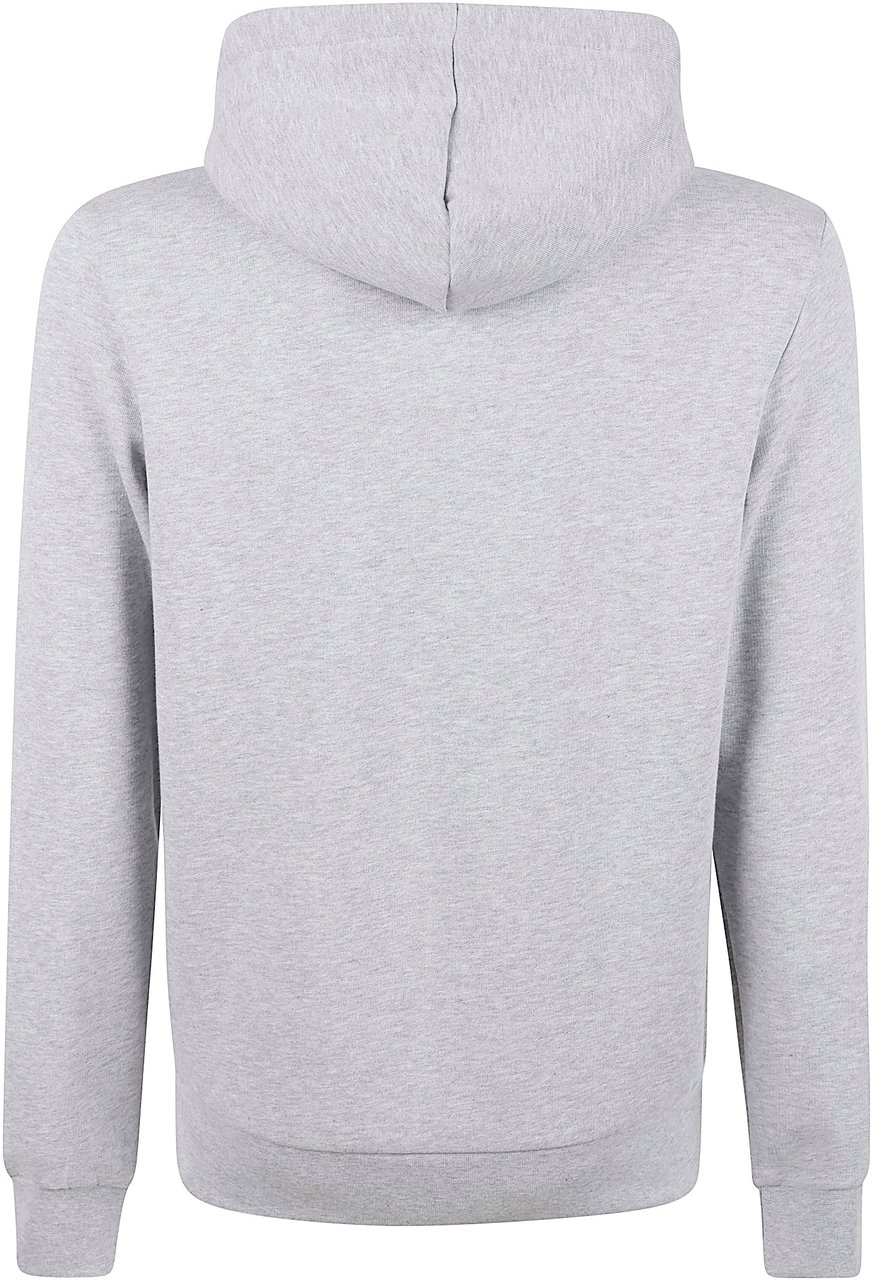 Lacoste Sweaters Grey Grijs