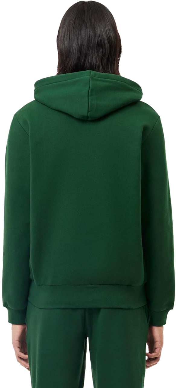 Lacoste Sweaters Green Groen