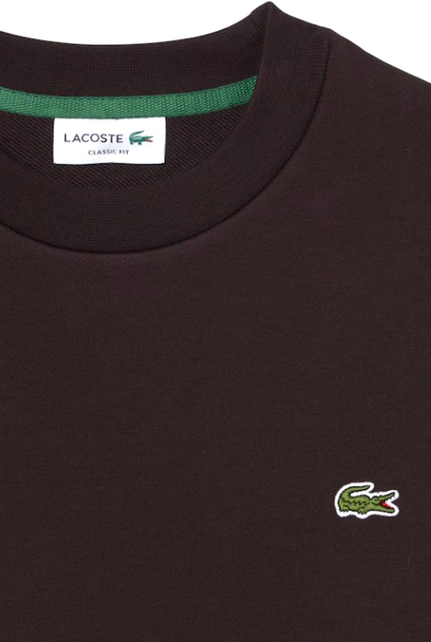 Lacoste Sweaters Bruin