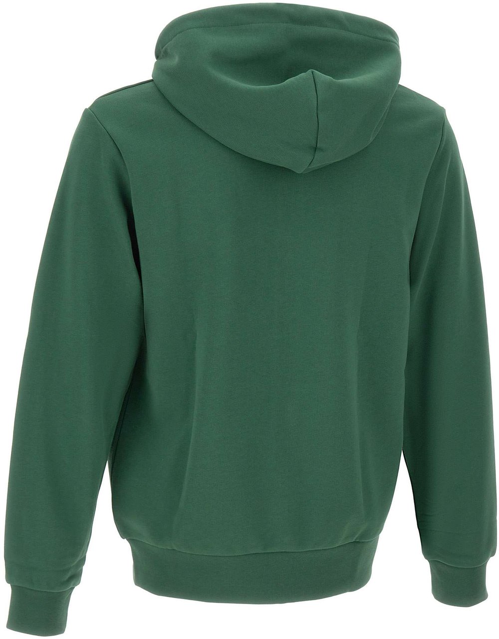 Lacoste Sweaters Green Groen