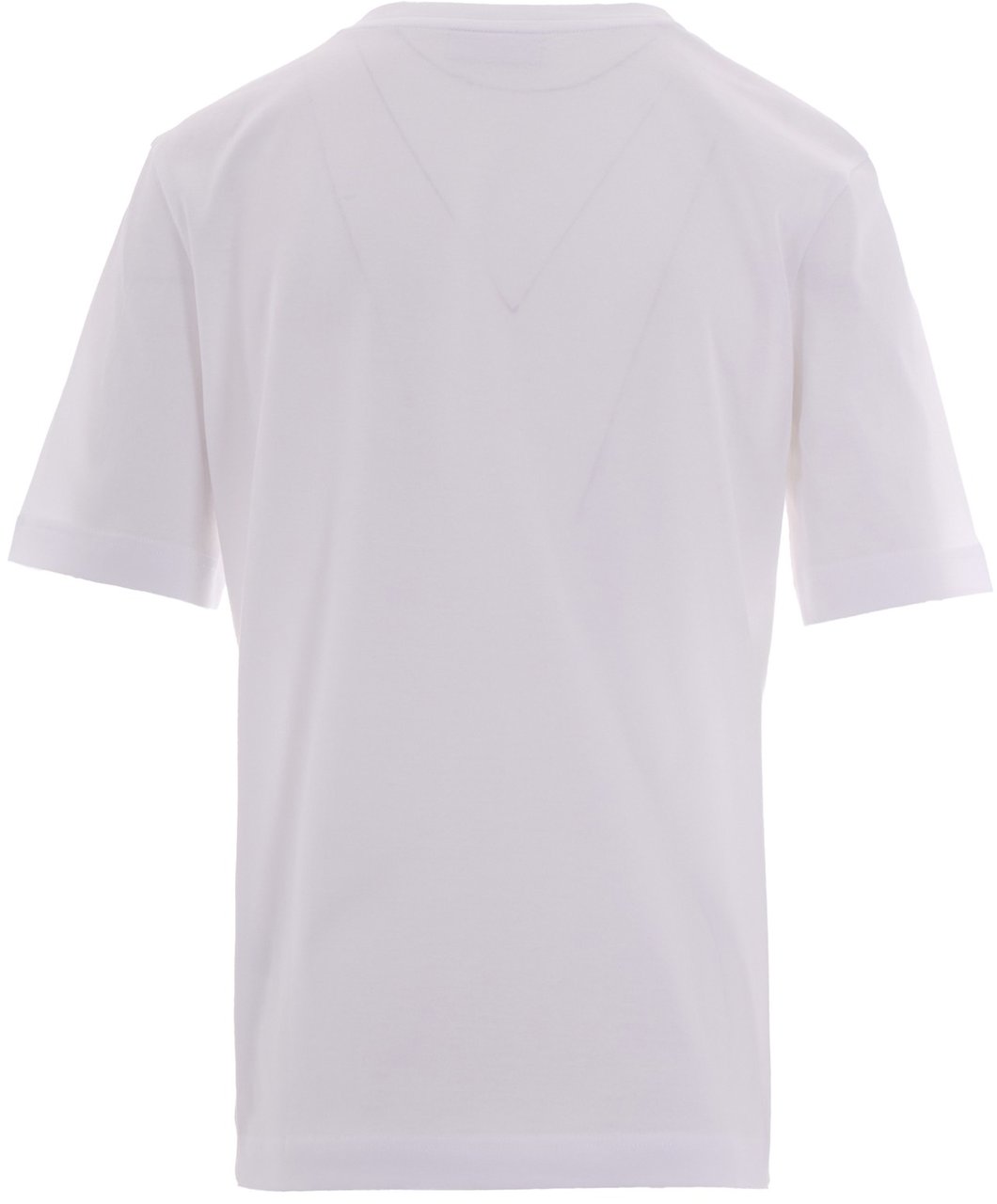 Lacoste T-Shirts And Polos White Wit