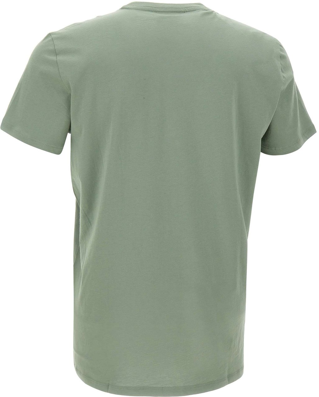 Lacoste T-Shirts And Polos Green Groen