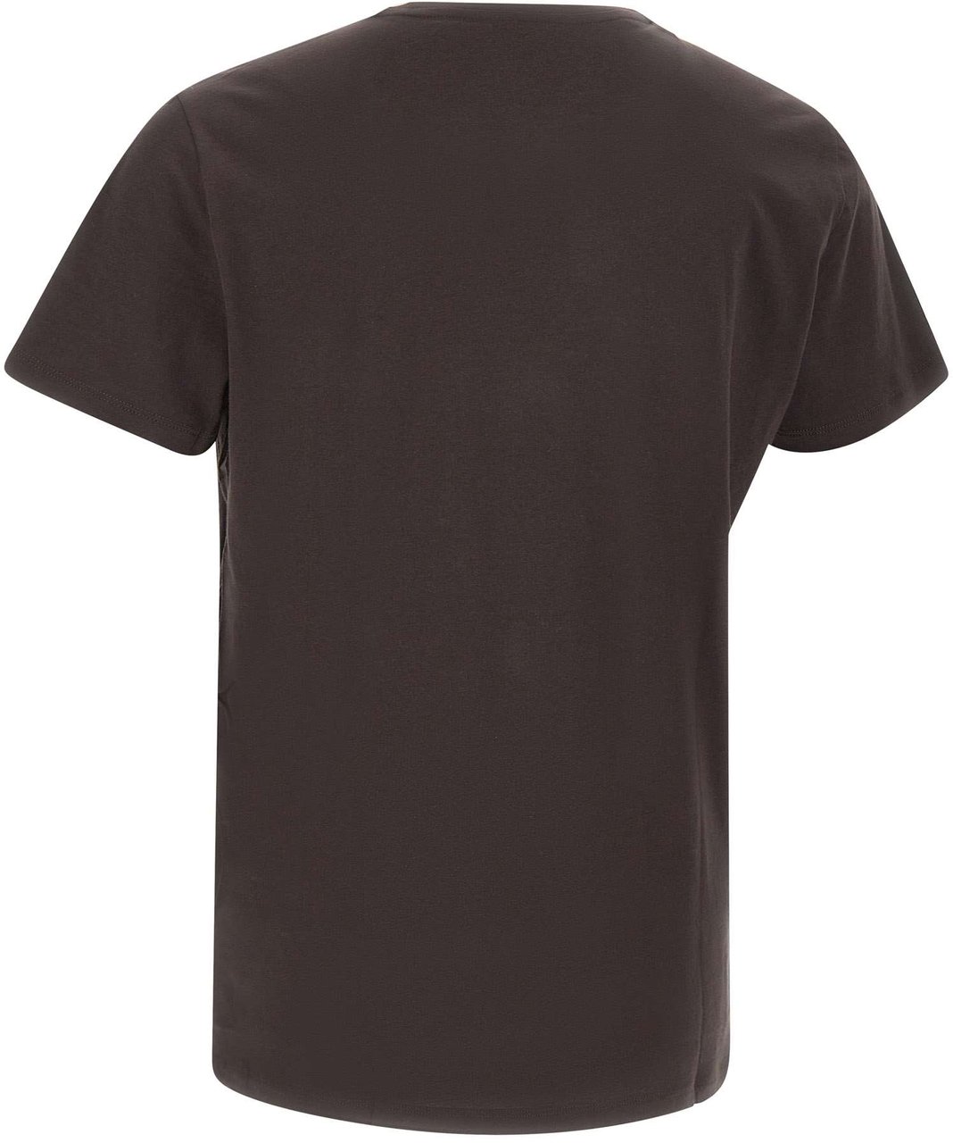 Lacoste T-Shirts And Polos Brown Bruin