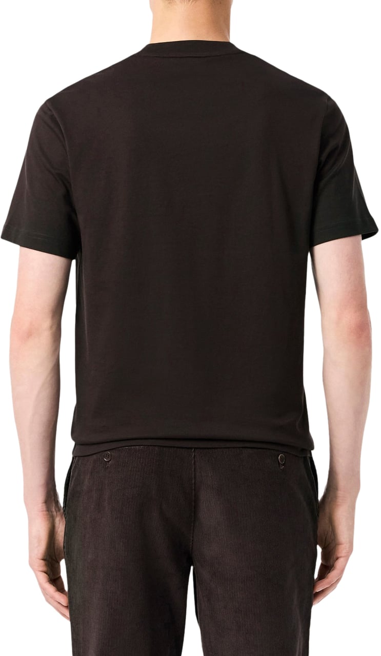 Lacoste Men T-shirt Marron / Brown Divers