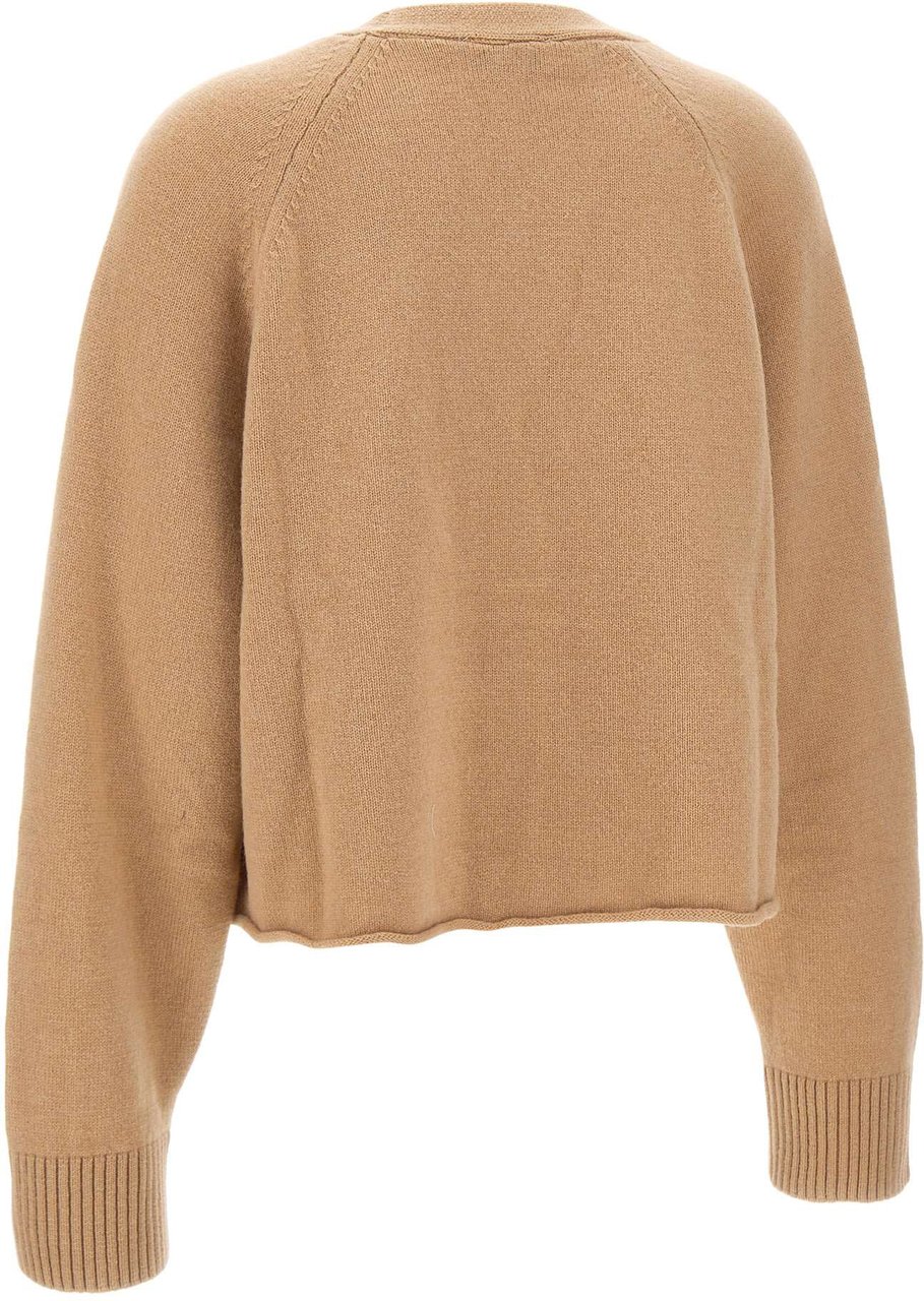 Laneus Sweaters Brown Bruin