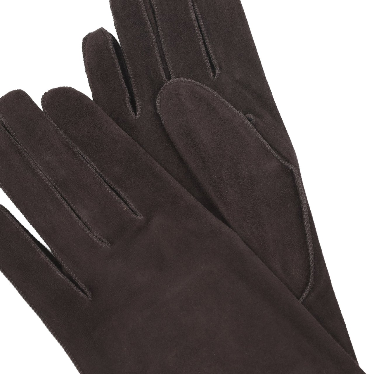 Lanvin Long Slim Gloves Divers