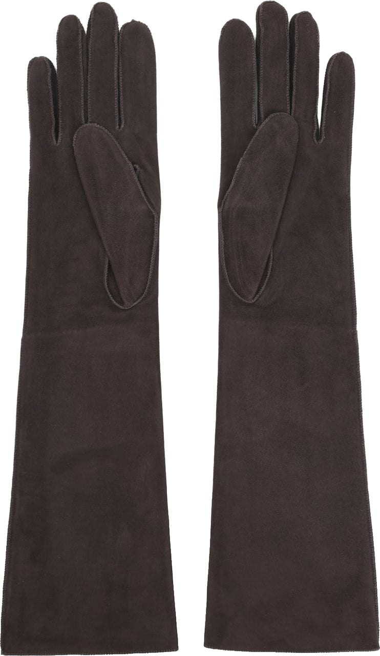 Lanvin Long Slim Gloves Divers