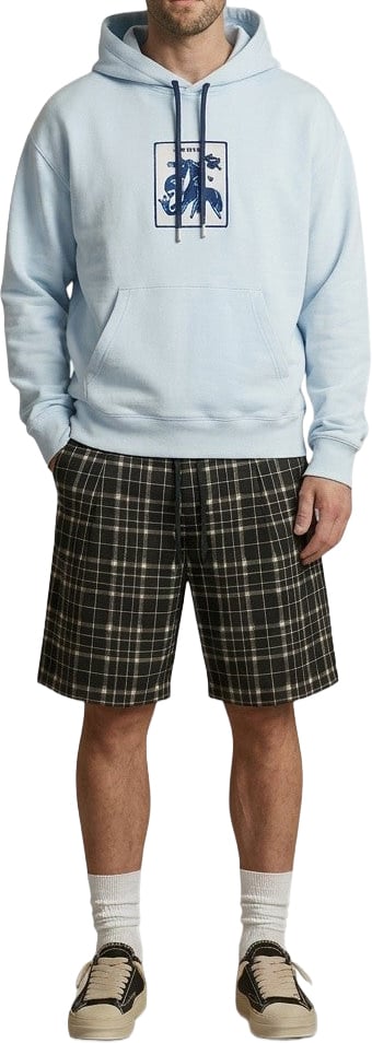Lanvin Hoodie with print Blauw