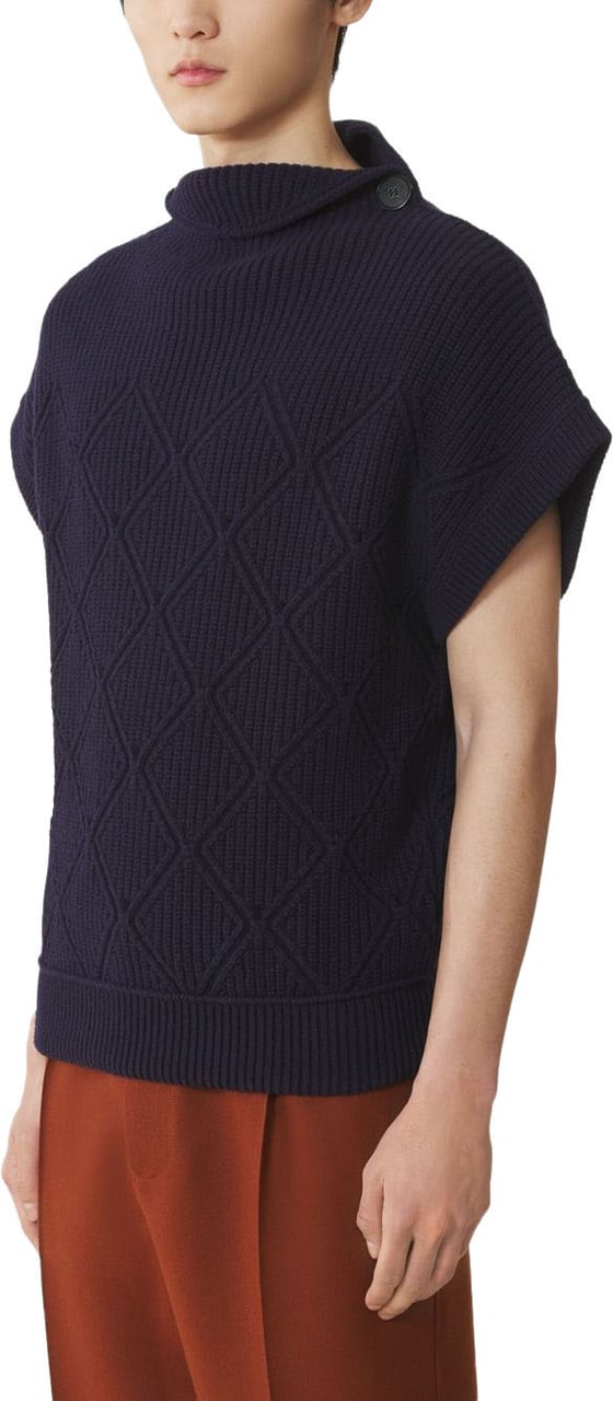 Lanvin Sweaters Blue Blauw