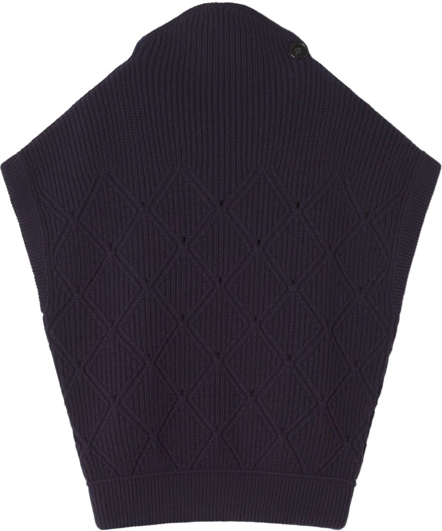 Lanvin Sweaters Blue Blauw