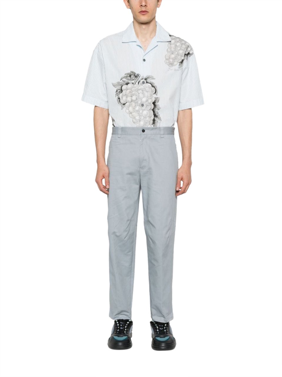 Lanvin Trousers Feather Divers