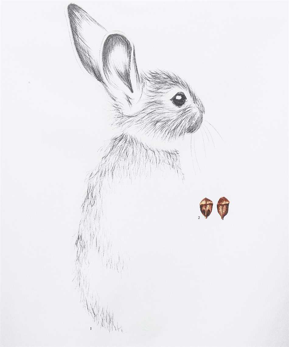 Lanvin Cotton hoodie Wit