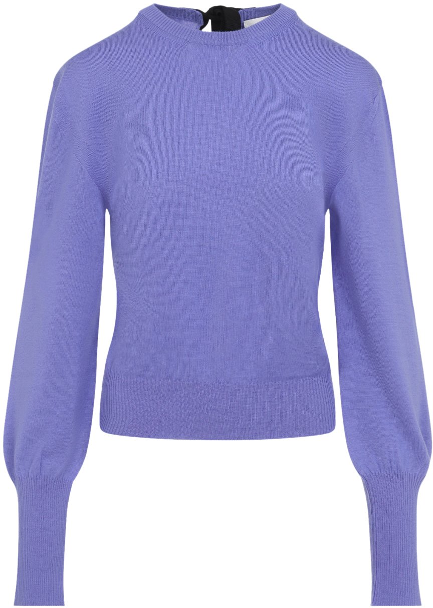 Lanvin LANVIN RWPO0016K101P26 Blauw