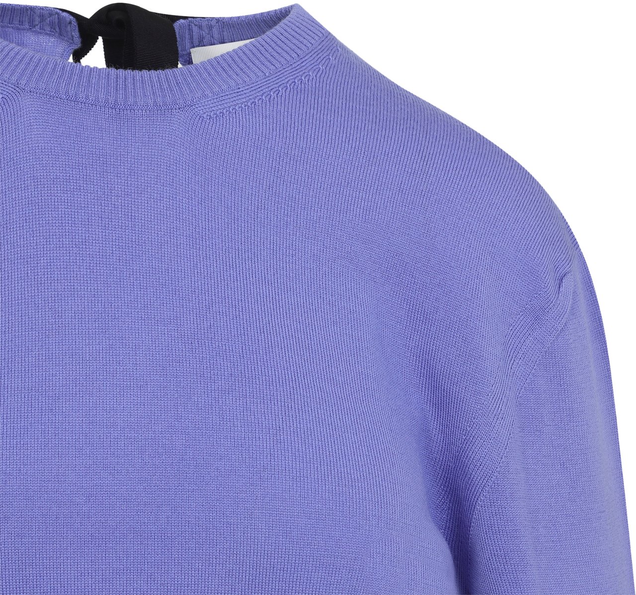 Lanvin LANVIN RWPO0016K101P26 Blauw