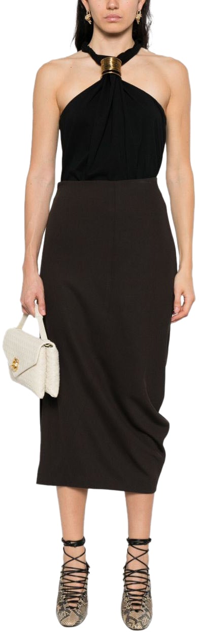 Lanvin Skirts Dark Brown Bruin
