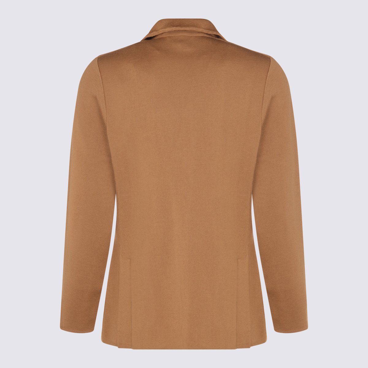 Lardini Tailored Blazer with Notch Lapels and Unique Lapel Pin Bruin